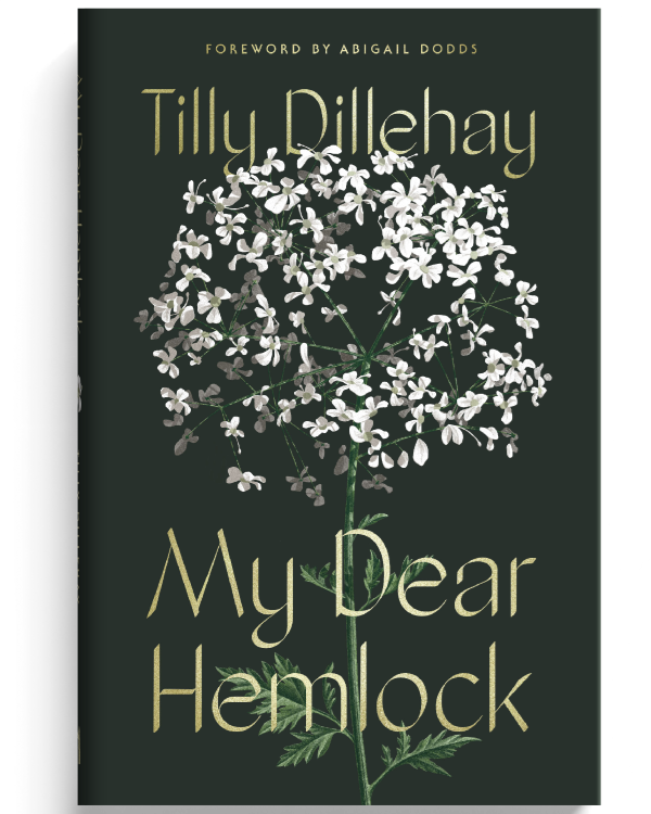 My Dear Hemlock